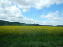 DSCN4696.jpg DSCN4696.jpg