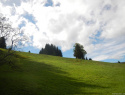DSCN4932.jpg DSCN4932.jpg