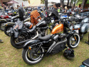 P7160446.JPG