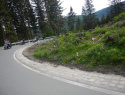 DSCN4916.jpg DSCN4916.jpg